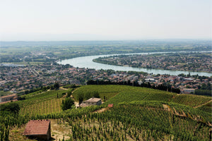 Vins de la Vallée du Rhône - Le Coin des Épicuriens