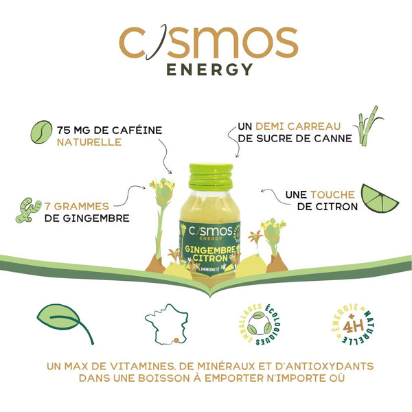 Organic Lemon Ginger - Cosmos Energy