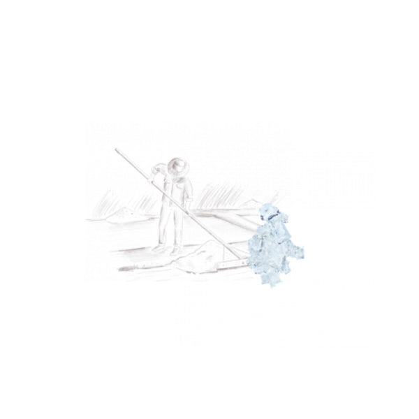 Sachet Fleur de Sel de Guérande - Max Daumin