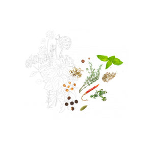 Assemblage Cajun - Max Daumin