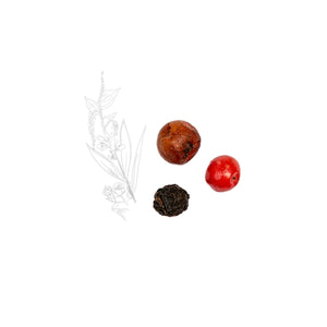 Assemblage Poivres - Sensation - Max Daumin