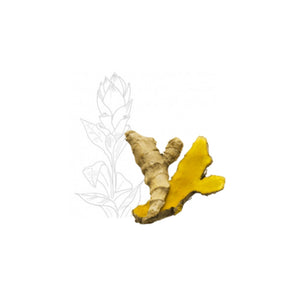 Curcuma Bio de Madagascar - Max Daumin