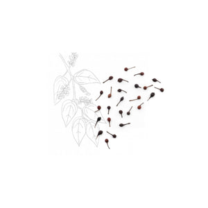 Poivre Sauvage Voatsiperifery - Max Daumin